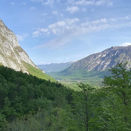 Apartments & Rooms Stare Bohinj Exteriör bild