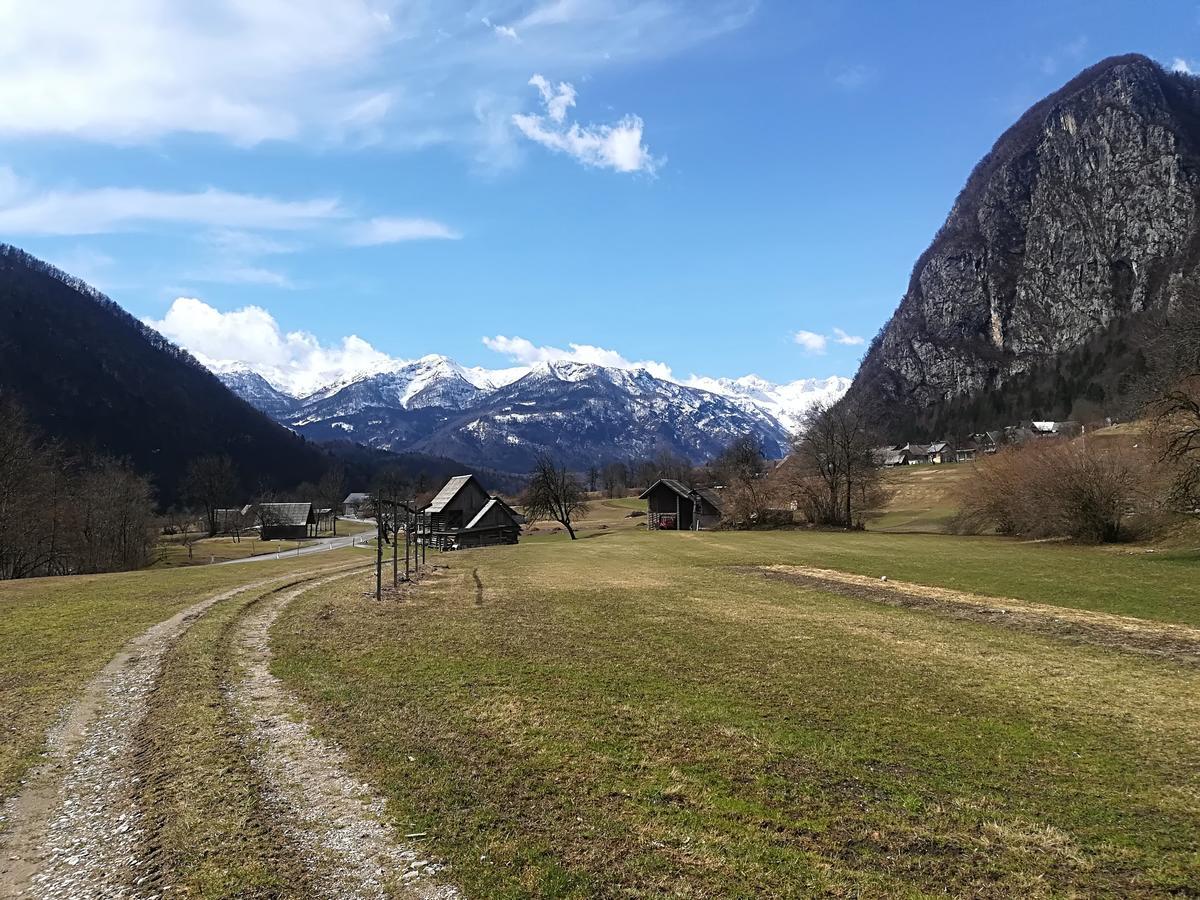 Apartments & Rooms Stare Bohinj Exteriör bild