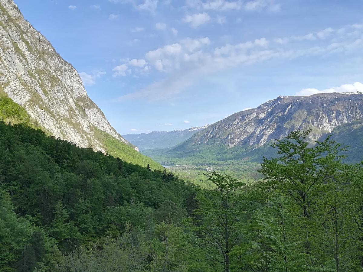 Apartments & Rooms Stare Bohinj Exteriör bild